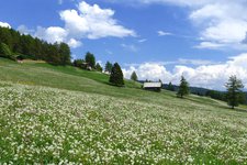 hafling leadner alm almenrunde