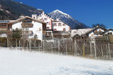 saltaus winter saltusio inverno