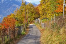 wanderung meraner freiberg