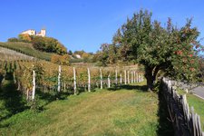 Tisens Prissian Herbst Schloss Wehrburg