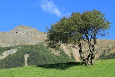 Ultental Walburg Berge Suedtirol