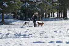 AT spaziergang im schnee mit hund bei vals winter