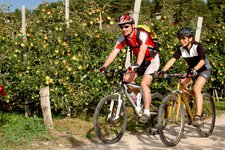 cg radfahren mountainbike obstwiesen