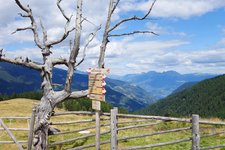 RS Almen Spitzner Alm Ausblick Richtung Meraner Land