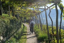 Freizeit und Aktiv meranerland neu