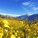 herbst bei lana weinreben und blick auf ifinger