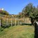 Tisens Prissian Herbst Schloss Wehrburg