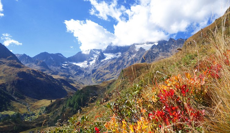 seebertal herbstfarben