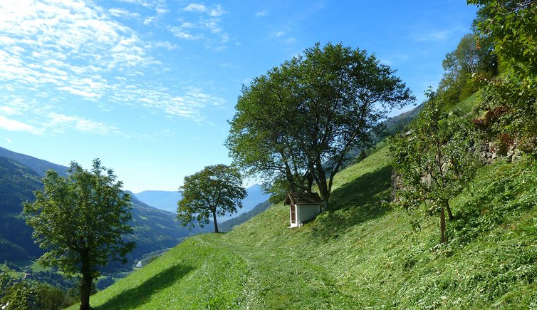 meraner hoehenweg matatz magdfeld vernuer