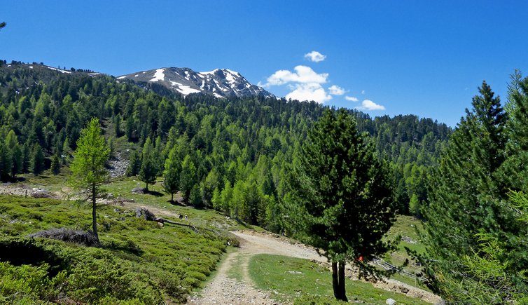 naturnser alm