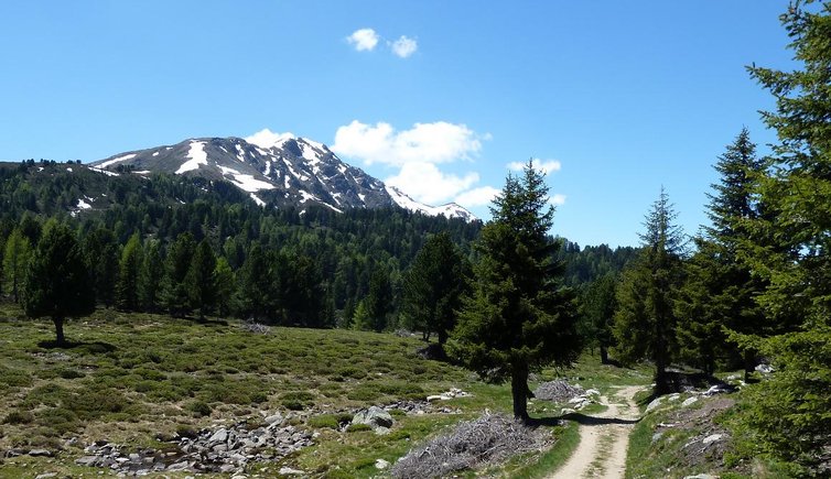 naturnser hochwart mit schnee