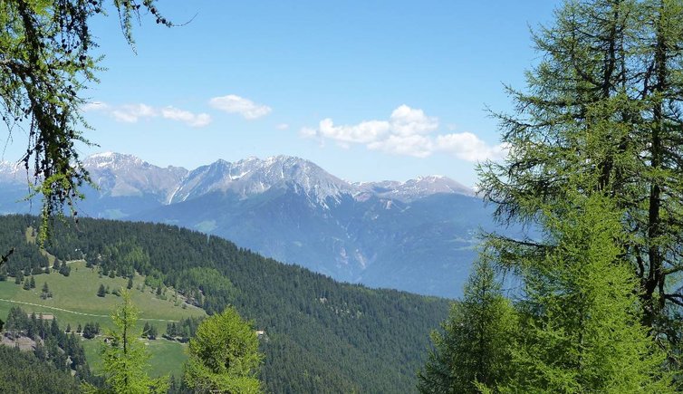 vigiljoch ifinger und hirzer sarntaleralpen