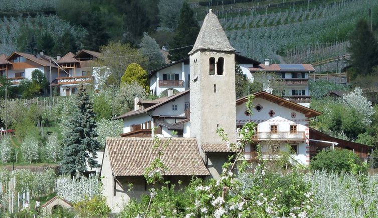 naturns st prokulus kirche apfelbluete