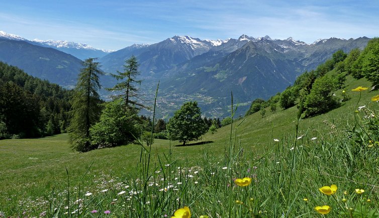 wanderung taser hoehenweg