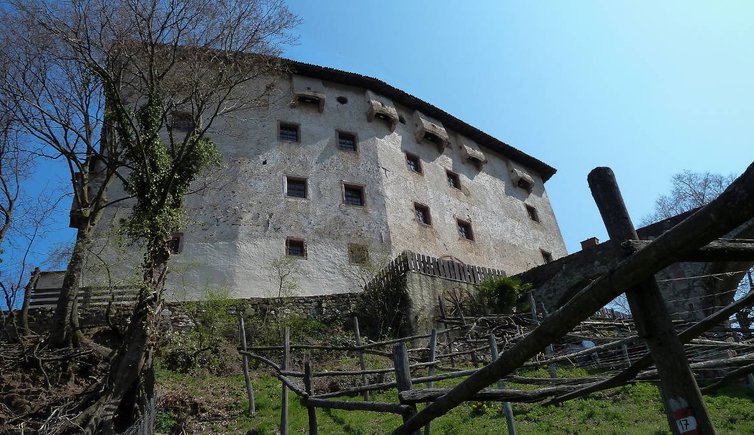 prissian schloss katzenzungen