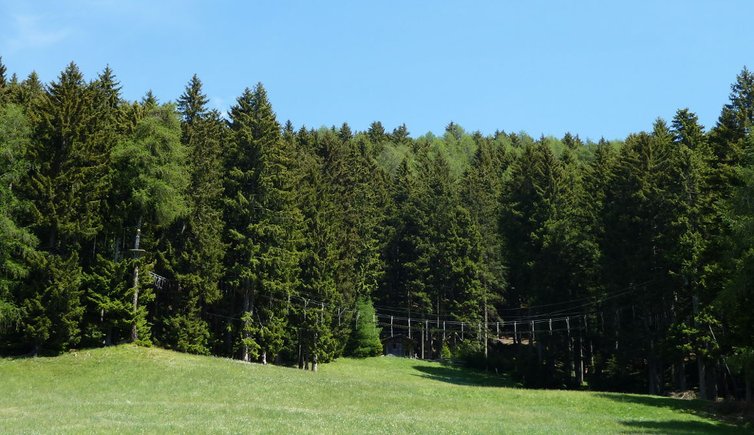 hochseilgarten taser