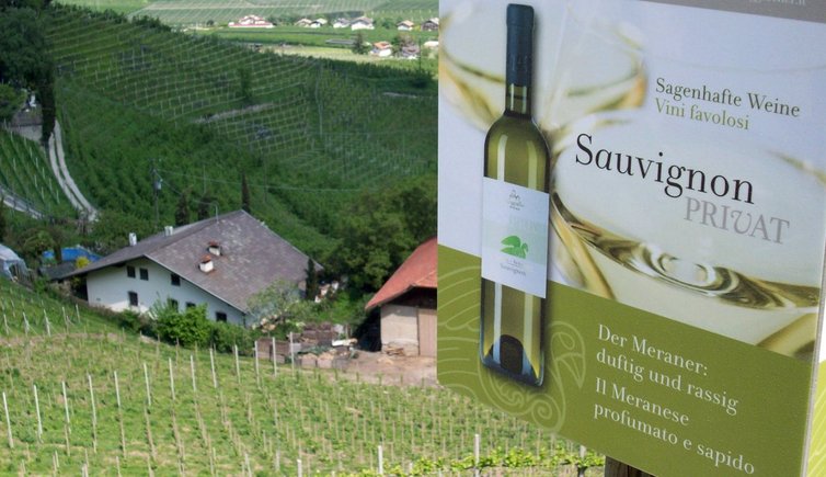 wein bei tscherms schild sauvignon