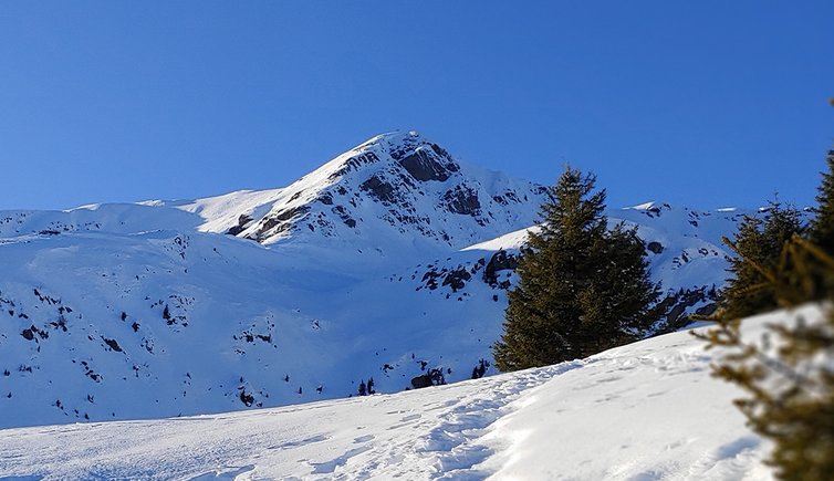 grosse laugen rechts