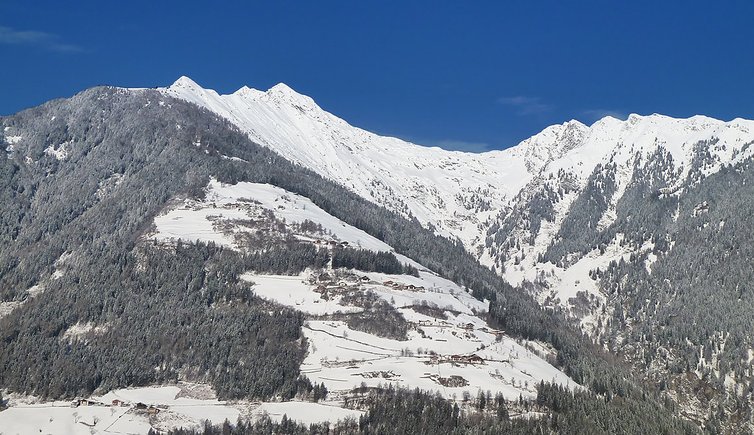 vernuer winter vernurio inverno
