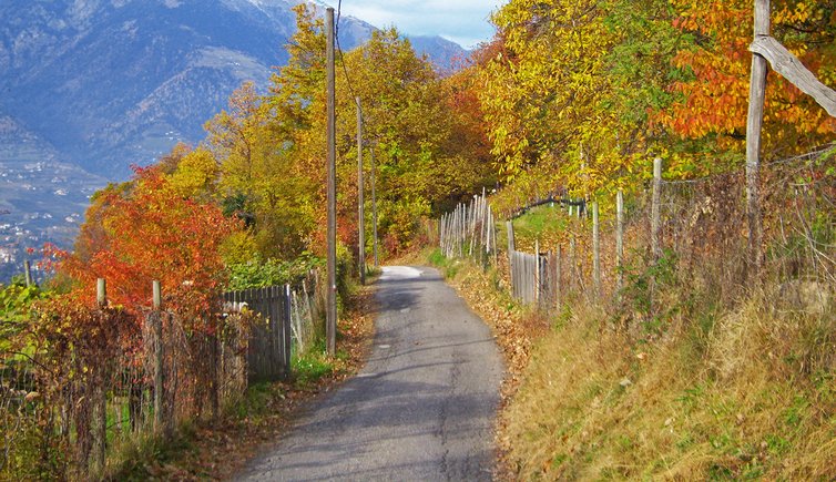 wanderung meraner freiberg