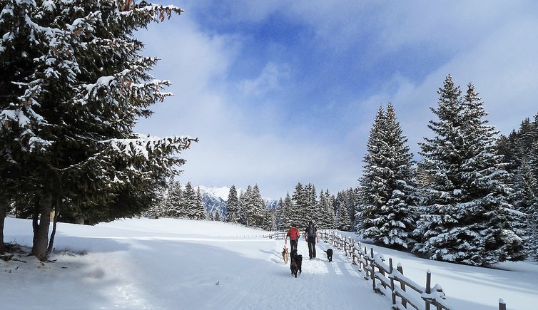 winterwandern vigiljoch escursione invernale montesanvigilio