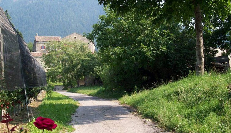 dorftirol schloss auer