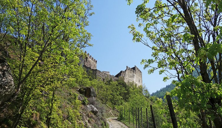 morter burg obermontani