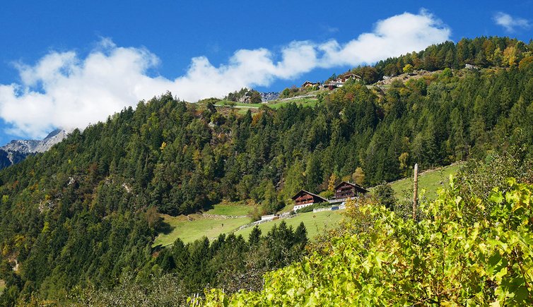 wanderung plars vellau