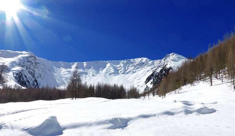 lafetzalm wiesen im winter