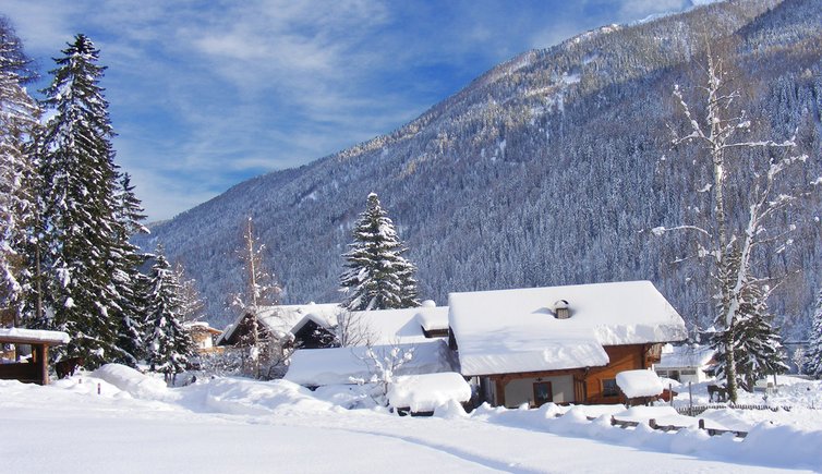 Ulten Winter Kuppelwies