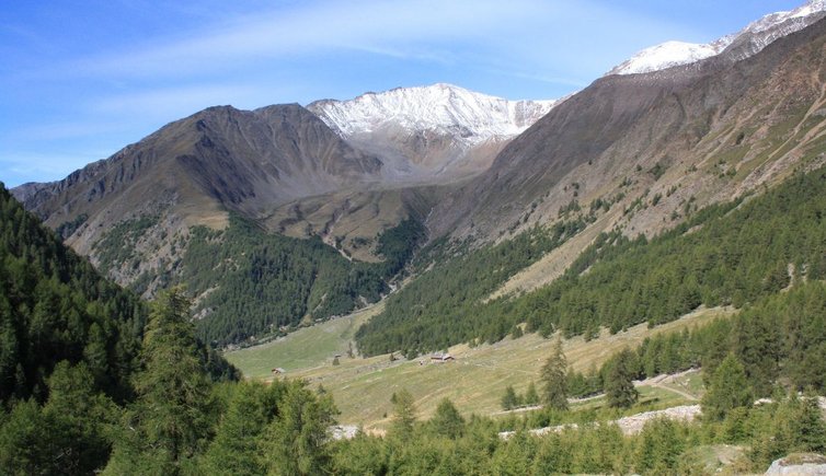 Meraner Hoehenweg Nord Richtung Similaun