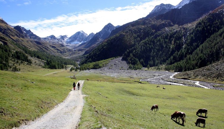 Meraner Hoehenweg Nord Hohe Weisse Kleine Weisse