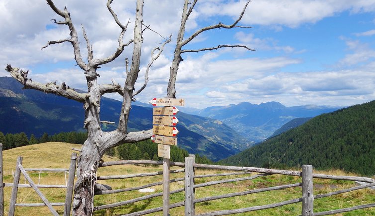 RS Almen Spitzner Alm Ausblick Richtung Meraner Land