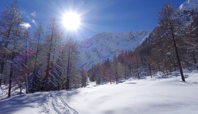 RS winter wanderweg schneeschuh route sailertal seilertal walten