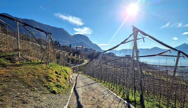 Wein und Apfelweg Schenna