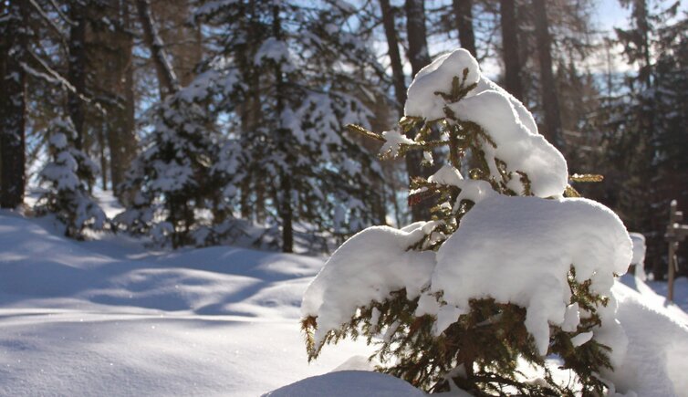 meranerland last Minute Winter